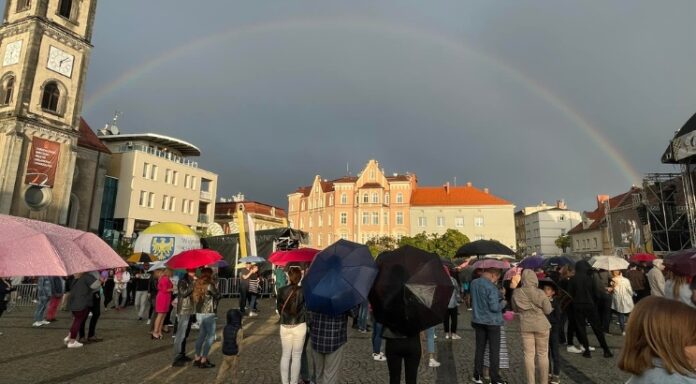 Gwarki Tarnowskie Góry