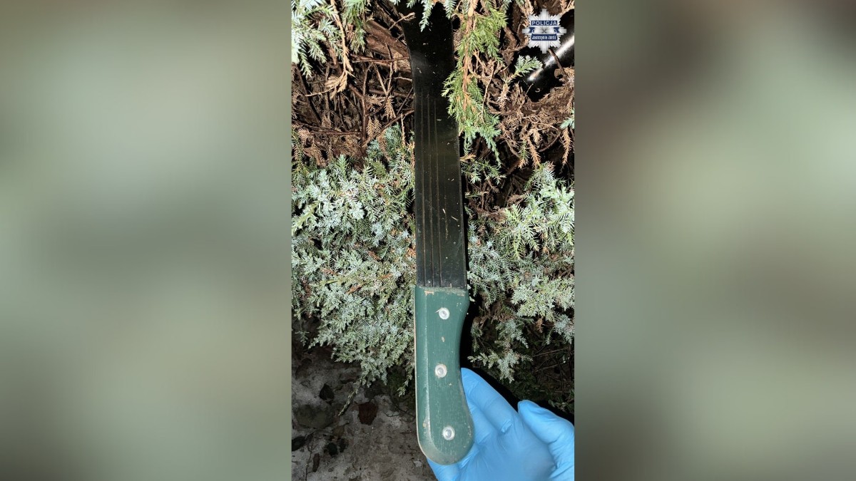 Śląskie. Grozili rówieśnikom maczetą i zwabili do lasu. Brutalny atak nastolatków